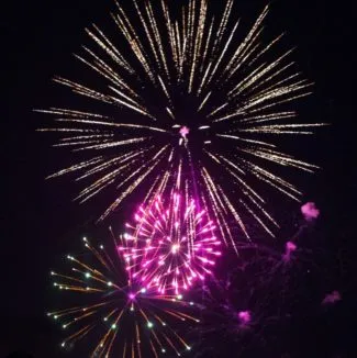 4th of July Fireworks & Food!